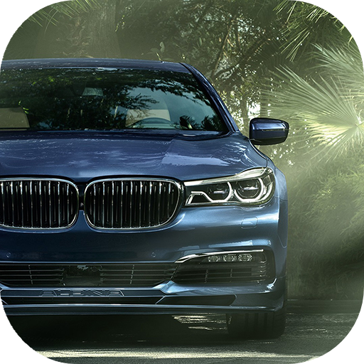 Driver & Parking Simulator