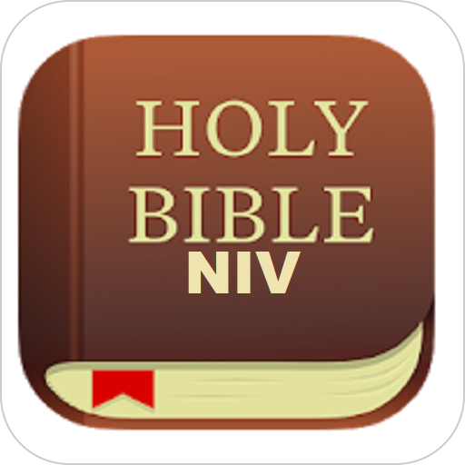 HOLY BIBLE NIV