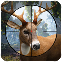 Deer Hunting 19