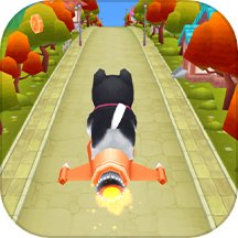 Animal Race Challenge