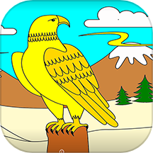 Animals Coloring Book