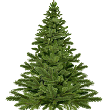 Christmas Tree Backgrounds