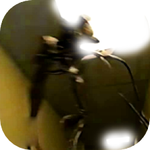 The Backrooms Horror