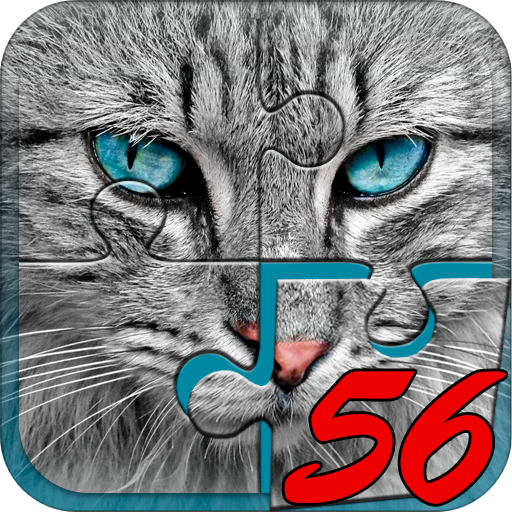 Big puzzles with cats