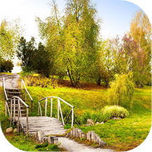 Nature Hd Backgrounds