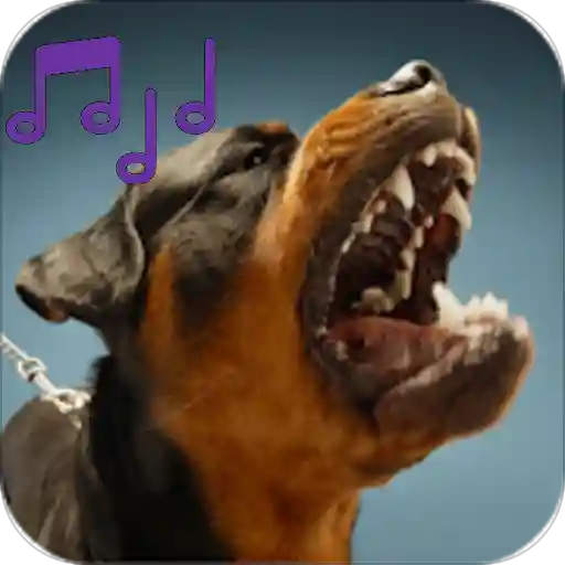 Dog Ringtones and Wallpapers