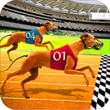 Dog Race Grehound 3D