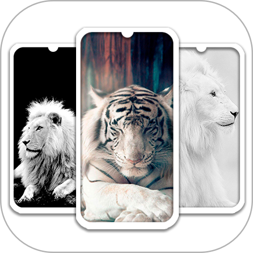 White Wallpapers - Background