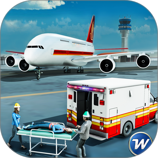 Ambulance Game Simulator