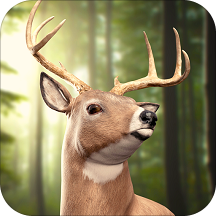 Jungle Deer Hunting 2019