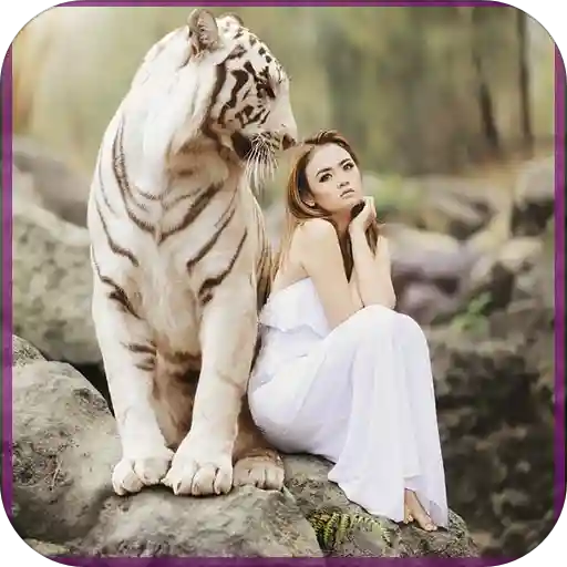 Beautiful Wallpapers and Backgrounds