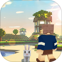 Block Building Simulator