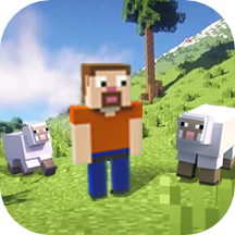 Cube World: Survival