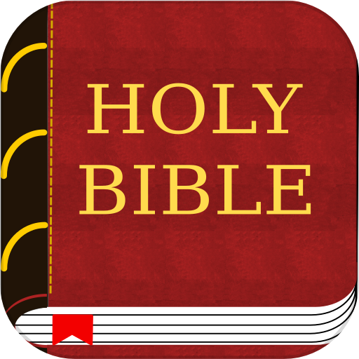 Holy BIble Amplified Version