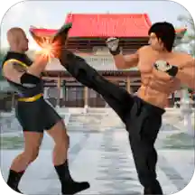 Kung fu fight karate offline games 2020: New games