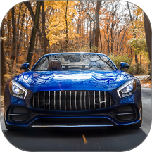 Extreme Racing Simulation