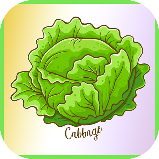 Cabbage Recipes