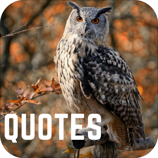 quotes