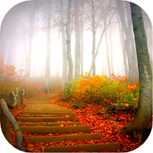 Autumn Wallpaper & Backgrounds