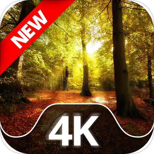 Wallpapers with forest