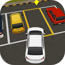 New Parking Master 3D