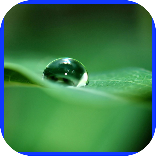 Water Drop Wallpapers