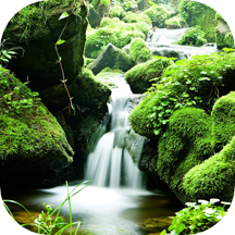 Natural Stream Wallpapers