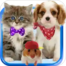 Talking cat. Talking puppy.