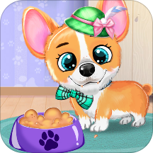 Corgi Pet Daycare Baby Puppy Nursery