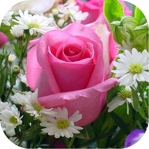 Nature Desktop Backgrounds