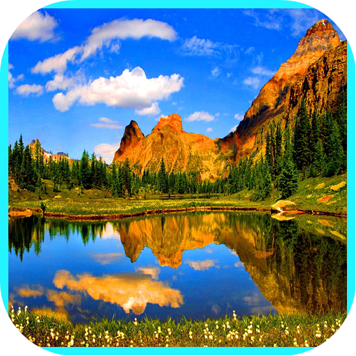 Reflection Wallpaper