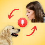 Dog Translator Game