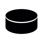 Hockey Scorebook + Stats